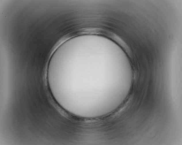 X0000114431378200910161023