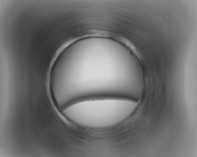 X0000114431379200910161023