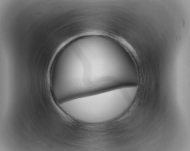 X0000114431380200910161023