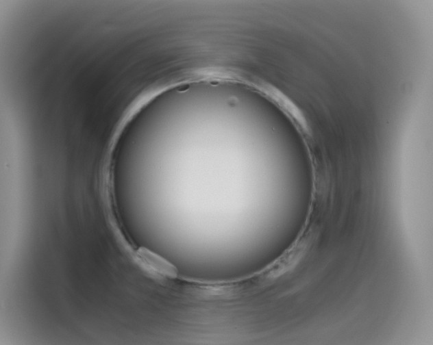 X0000114431381200910161023