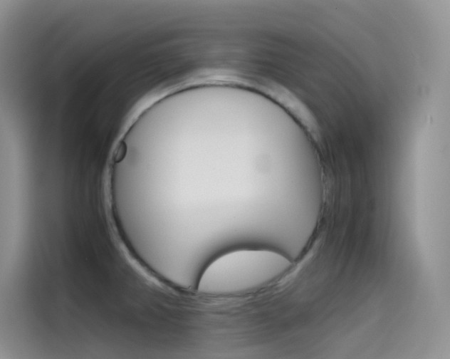 X0000114431382200910161023