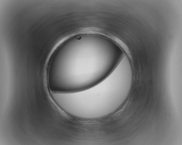 X0000114431384200910161023