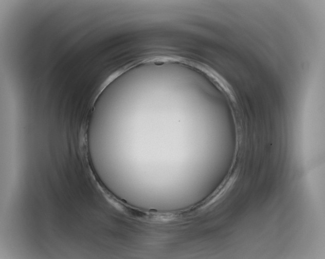 X0000114431385200910161023