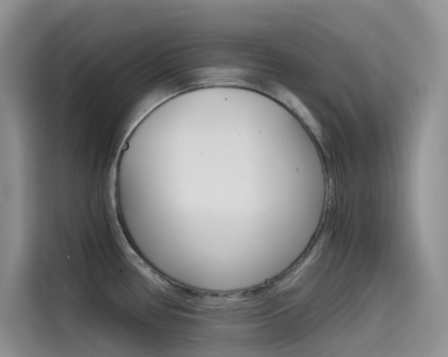 X0000114431386200910161023