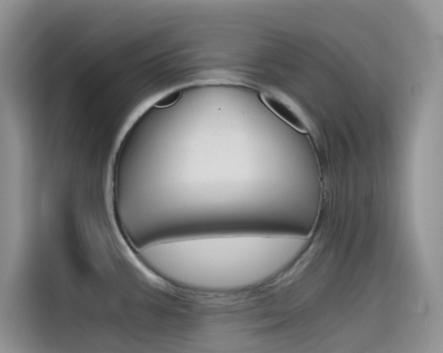 X0000114431387200910161023