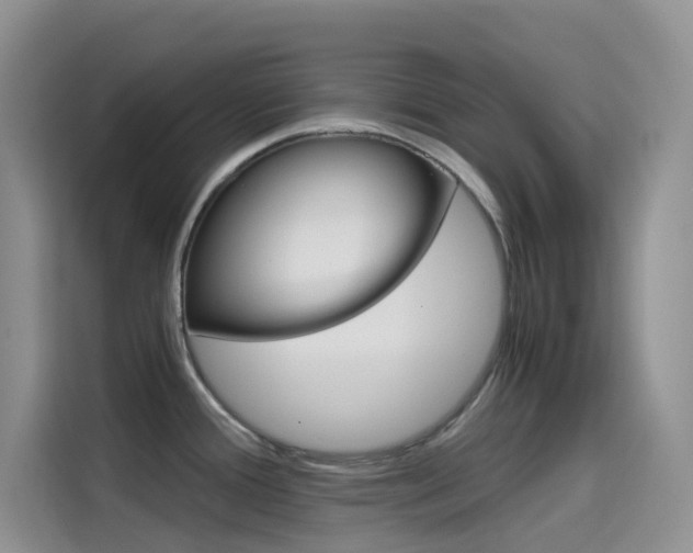 X0000114431388200910161023