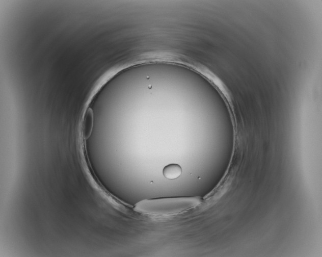 X0000114431389200910161023