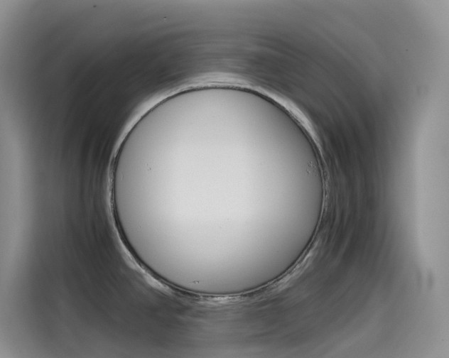 X0000114431390200910161023