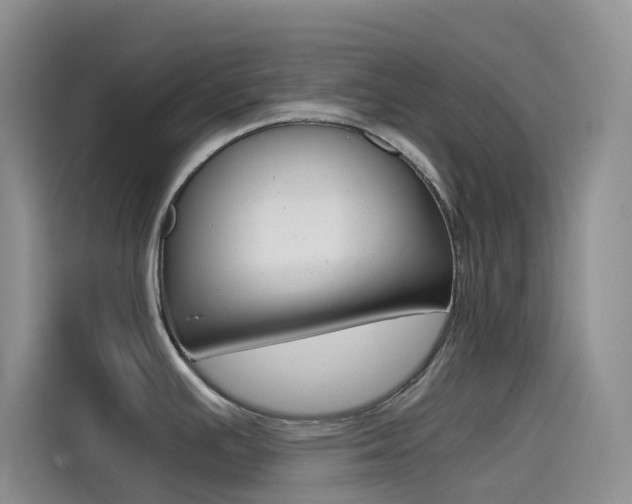 X0000114431391200910161023