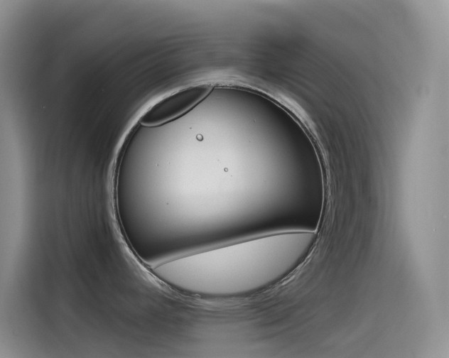X0000114431392200910161023