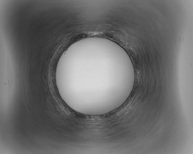 X0000114431393200910161022