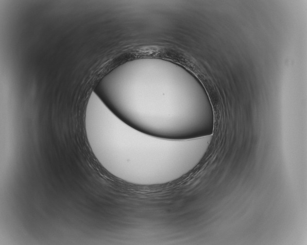 X0000114431394200910161022
