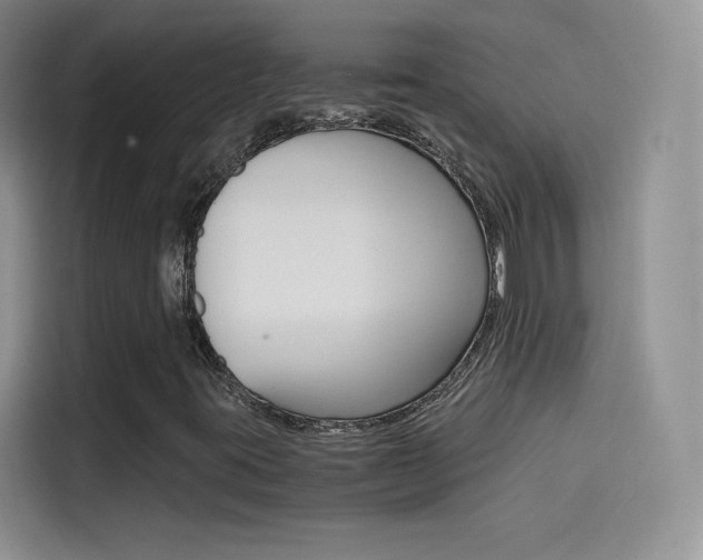 X0000114431395200910161022