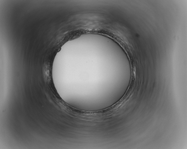 X0000114431396200910161022