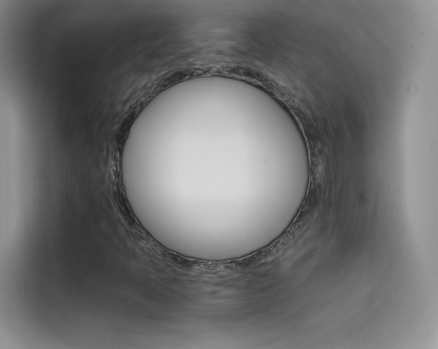 X0000114431397200910161022