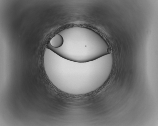 X0000114431398200910161023