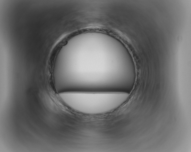 X0000114431400200910161023