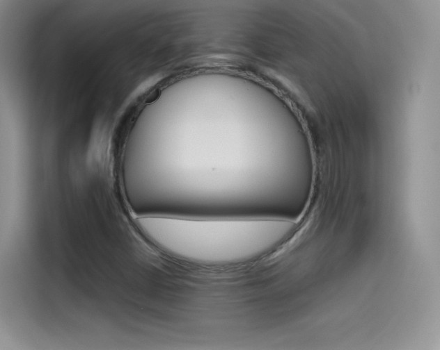 X0000114431402200910161023