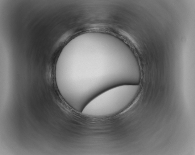 X0000114431403200910161023