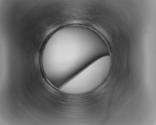 X0000114431404200910161023