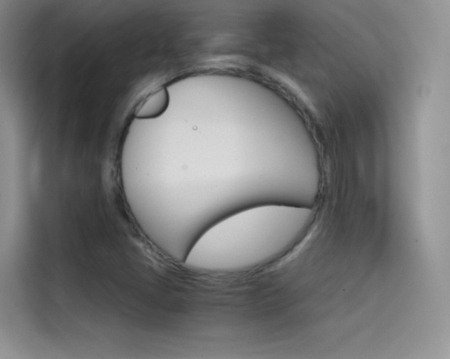 X0000114431405200910161023
