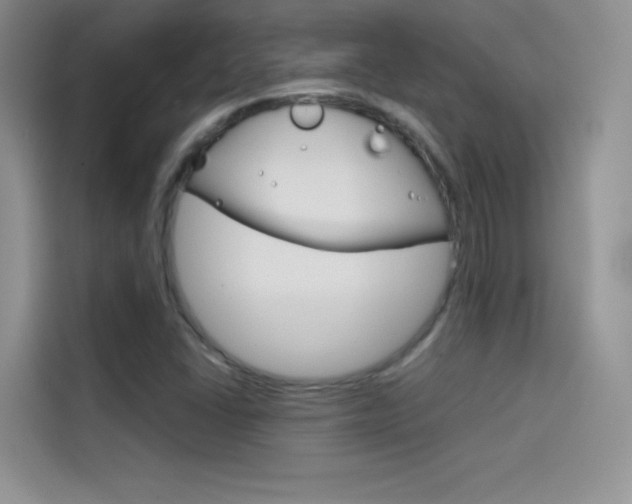X0000114431406200910161023