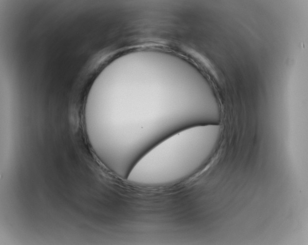 X0000114431407200910161023