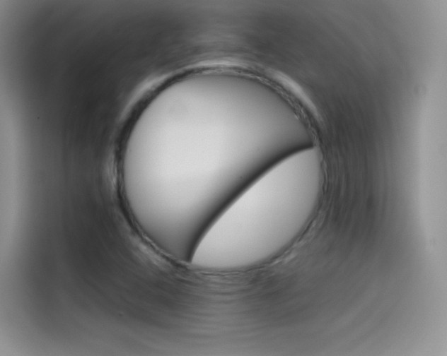 X0000114431408200910161023