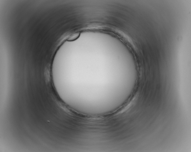 X0000114431409200910161023
