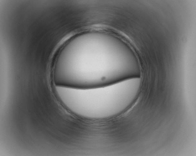 X0000114431410200910161023