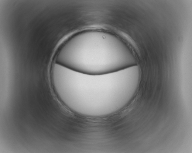 X0000114431412200910161023