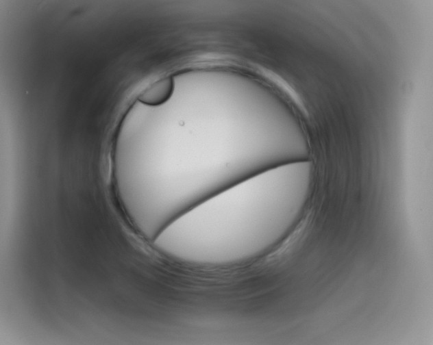 X0000114431413200910161023