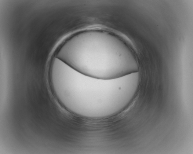 X0000114431414200910161023