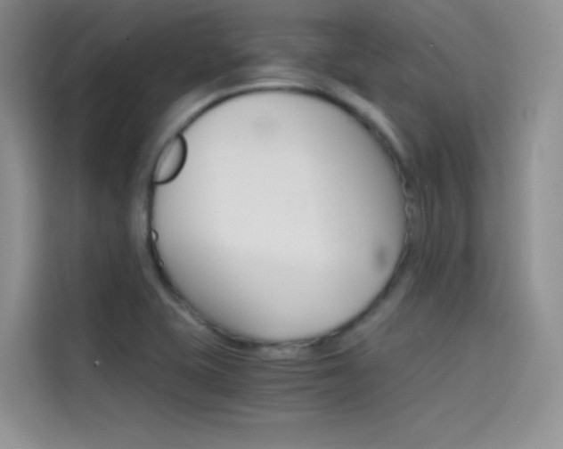 X0000114431415200910161023
