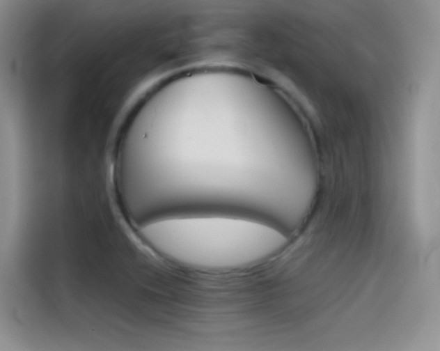 X0000114431416200910161023