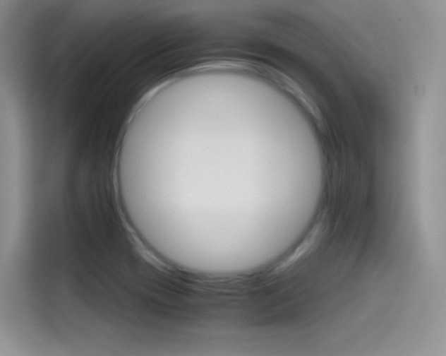 X0000114431417200910161023