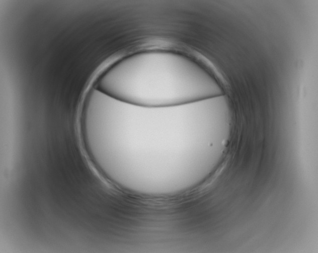 X0000114431418200910161023