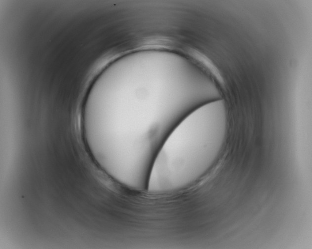 X0000114431419200910161023