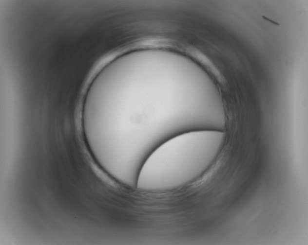 X0000114431421200910161023