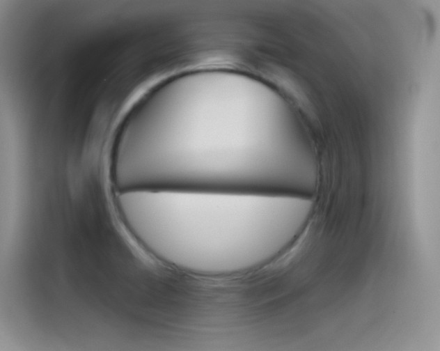 X0000114431422200910161023