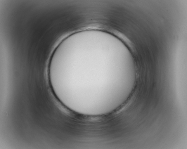 X0000114431423200910161023