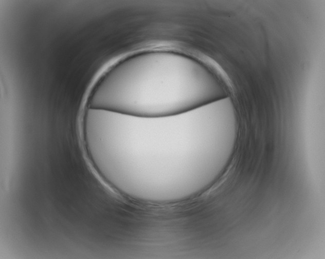 X0000114431424200910161023