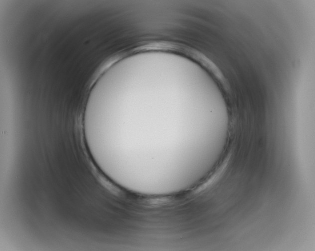 X0000114431425200910161023