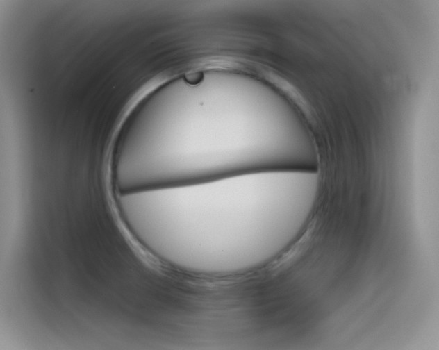 X0000114431426200910161023