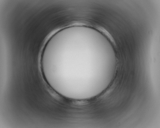 X0000114431427200910161023