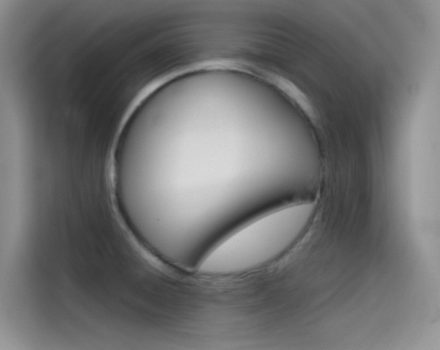 X0000114431428200910161023