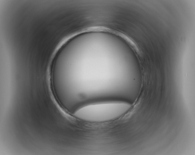 X0000114431430200910161023