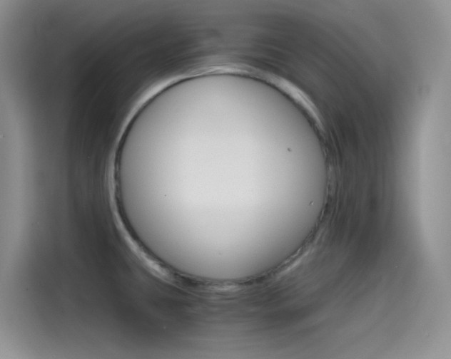 X0000114431431200910161023