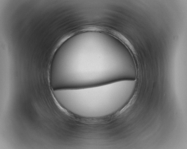 X0000114431433200910161023