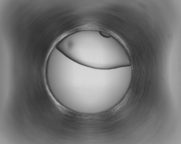 X0000114431434200910161023